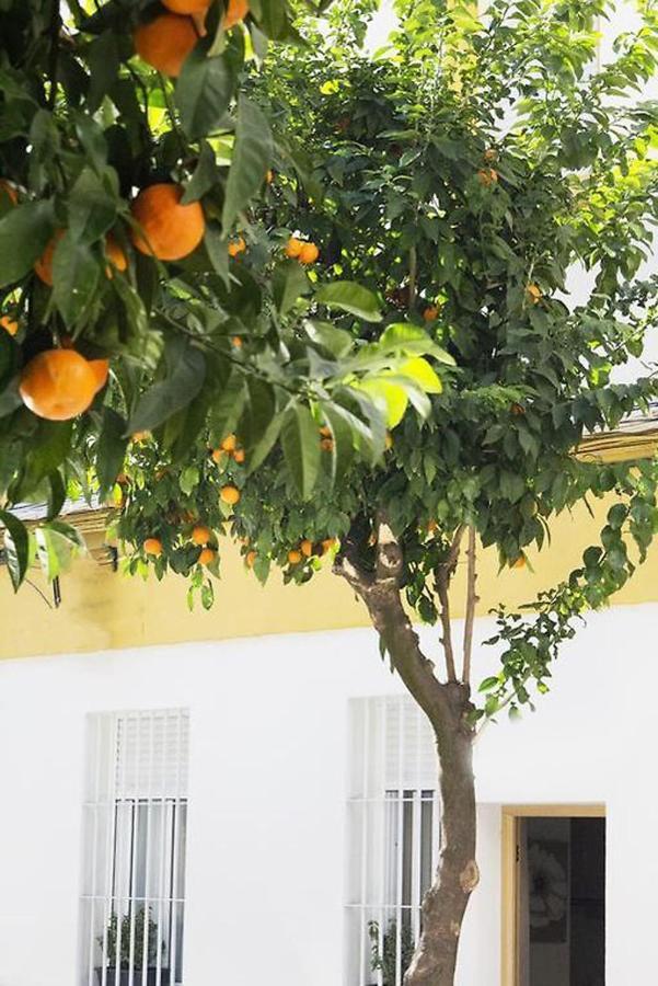 Apartamento Costasol Kordoba Bagian luar foto
